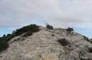 Sommet de Marseilleveyre